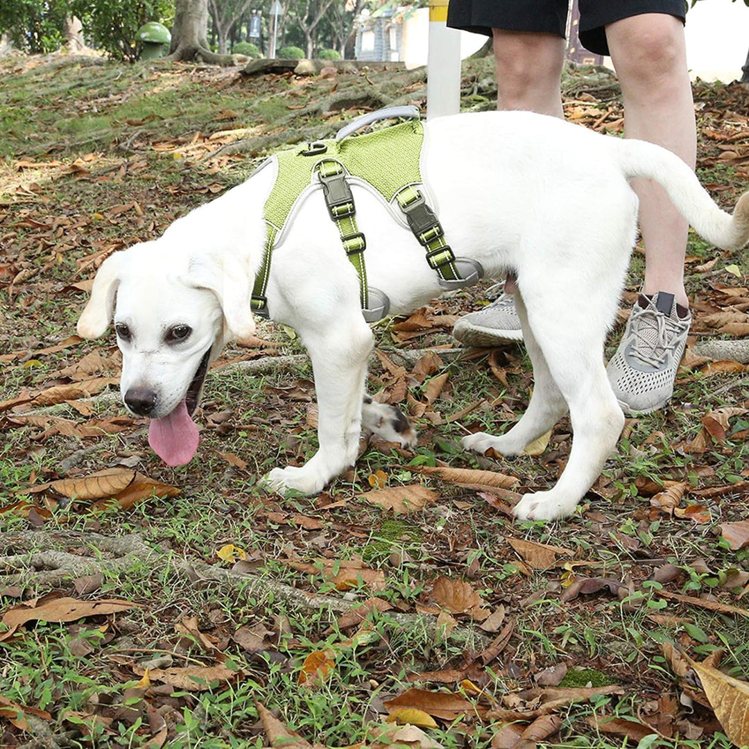 BELPRO Mehrzweck-Hundegeschirr, ausbruchsicher, kein Ziehen, reflektierend, verstellbare Weste mit s