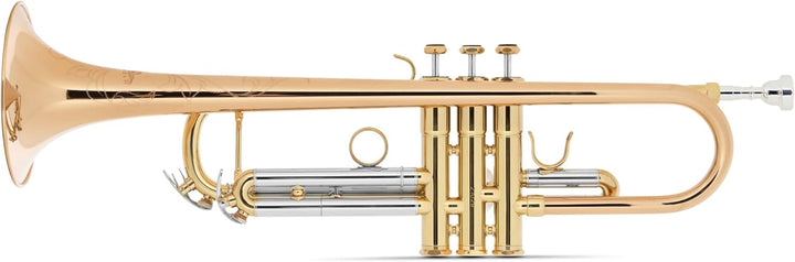 Lechgold TR-14G Bb-Trompete (für Einsteiger und Fortgeschrittene, Edelstahl-Ventile, inkl. Koffer, M