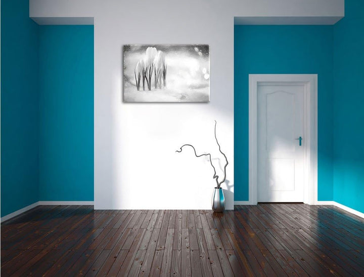 Pixxprint Schneeglöckchen im Frühjahr Kunst Kohle Effekt, Format: 100x70 auf Leinwand, XXL riesige B