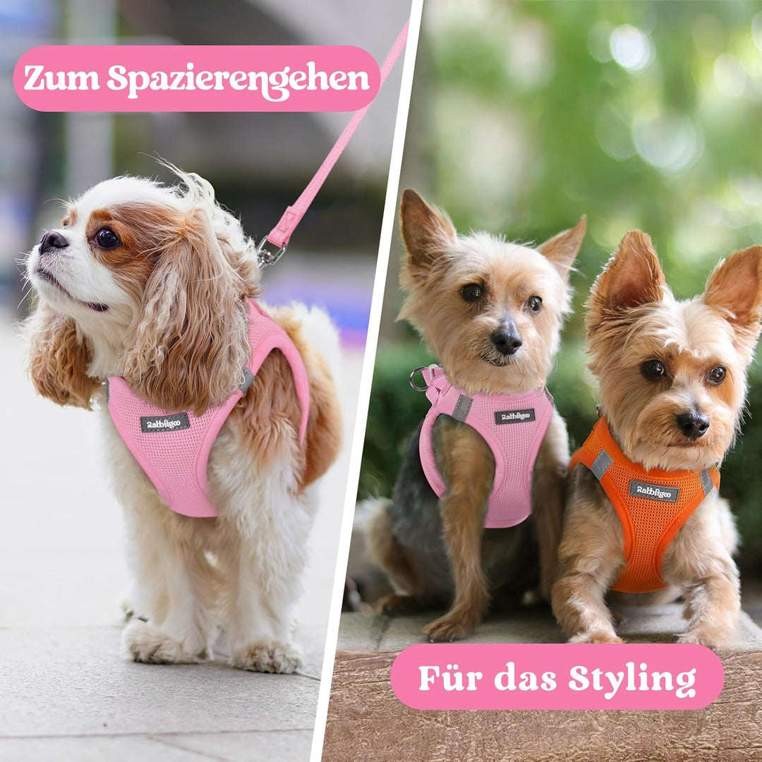 rabbitgoo Hundegeschirr Kleine Hunde, Step-in Welpengeschirr Weich Mesh für Spaziergänge, Atmungsakt
