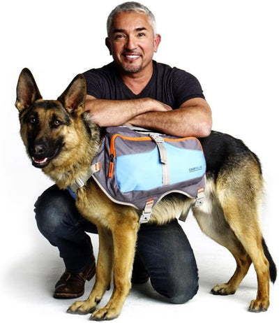 Cesar Millan Hunde-Rucksack, Grösse M, M