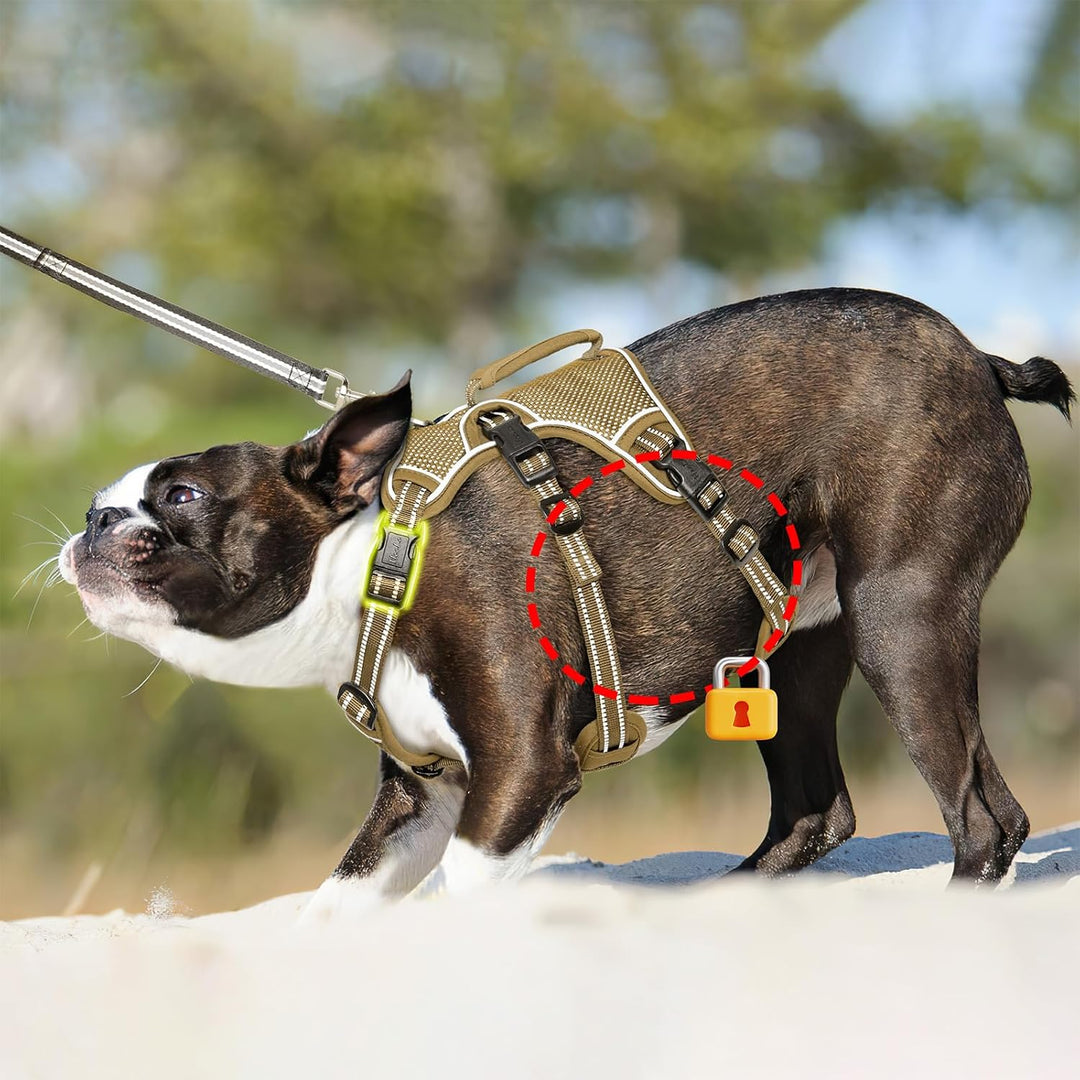 HEELE Hundegeschirr, Ausbruchsicher, Schnalle im Halsbereich, Reflektierend, Brustgeschirr mit Robus