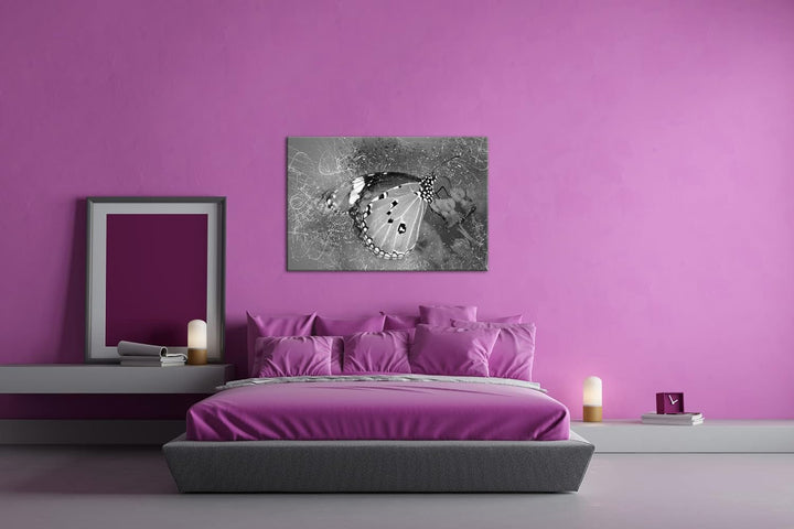 deyoli kleiner Schmetterling auf Nahrungssuche Format: 80x60 als Leinwand, Effekt: Schwarz&Weiss, Mo
