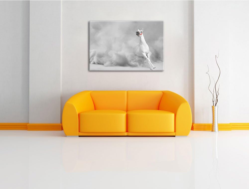 weisser Hengst in der Wüste schwarz/weiss Format: 100x70 auf Leinwand, XXL riesige Bilder fertig ger