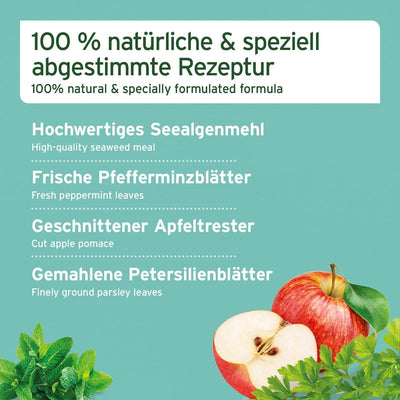 AniForte Denta Clean & Care Zahnpflege Pulver für Hunde & Katzen 300g – effektive & natürliche Zahnr