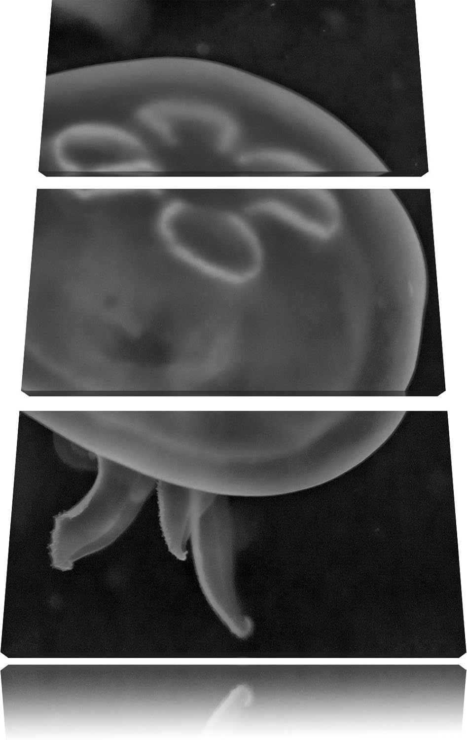 Pixxprint Leuchtend Blaue Qualle als Leinwandbild/Grösse: 3 Teilig (120x80) cm/Wandbild/Kunstdruck/f