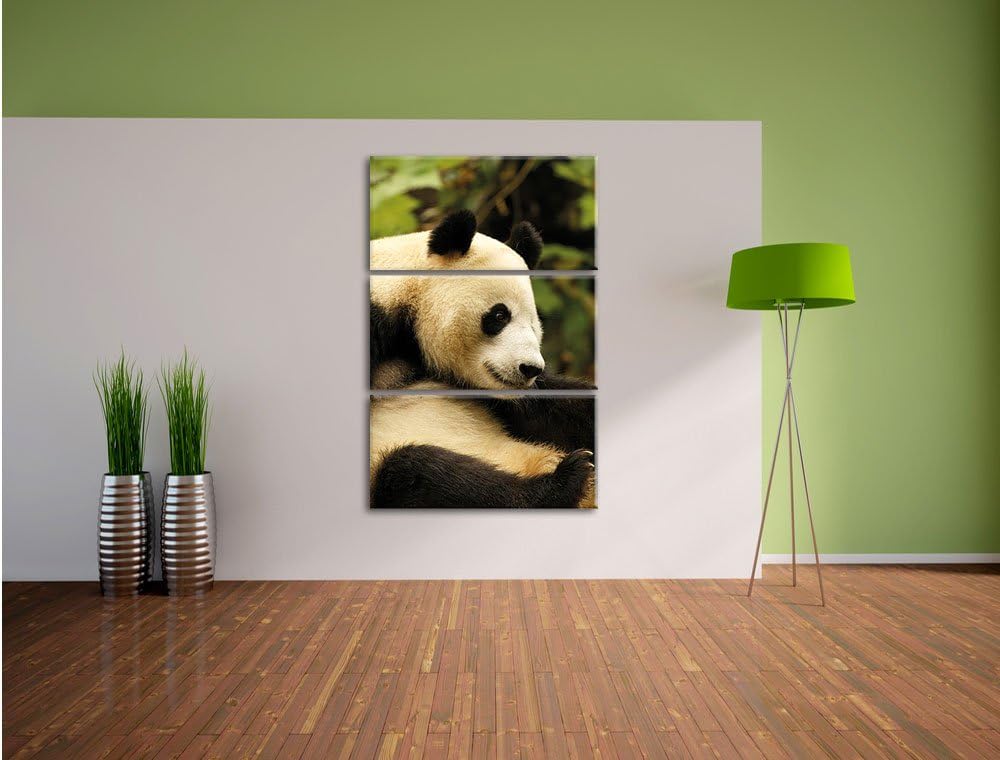 Pixxprint niedlicher Pandabär als Leinwandbild/Grösse: 3 Teilig (120x80) cm/Wandbild/Kunstdruck/fert