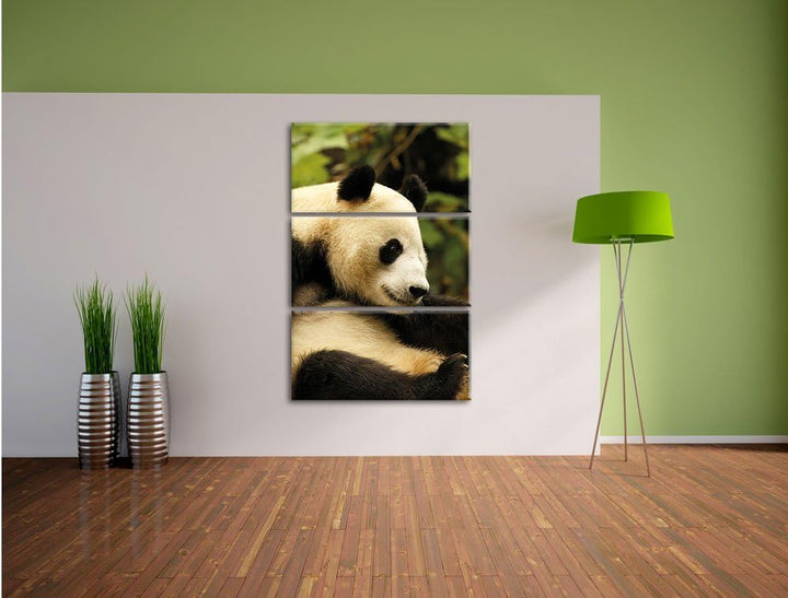 Pixxprint niedlicher Pandabär als Leinwandbild/Grösse: 3 Teilig (120x80) cm/Wandbild/Kunstdruck/fert