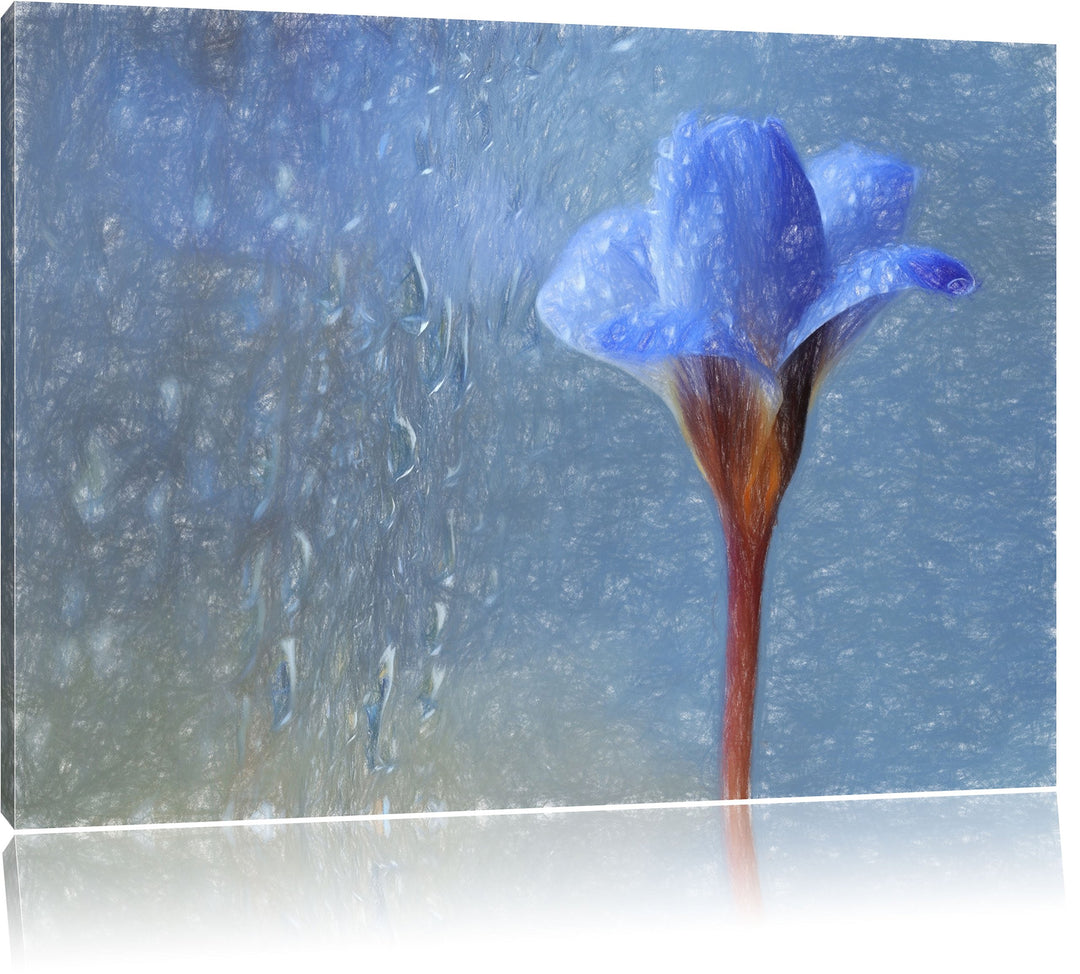 Pixxprint Blaue Frühlingsblume mit Tautropfen Kunst Buntstift Effekt, Format: 100x70 auf Leinwand, X