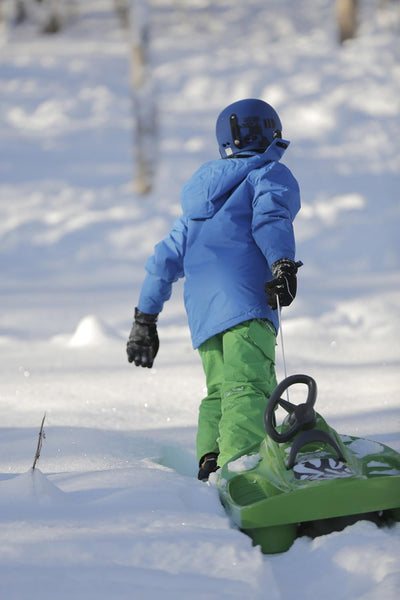 Hamax Schlitten Sno Zebra, Green,