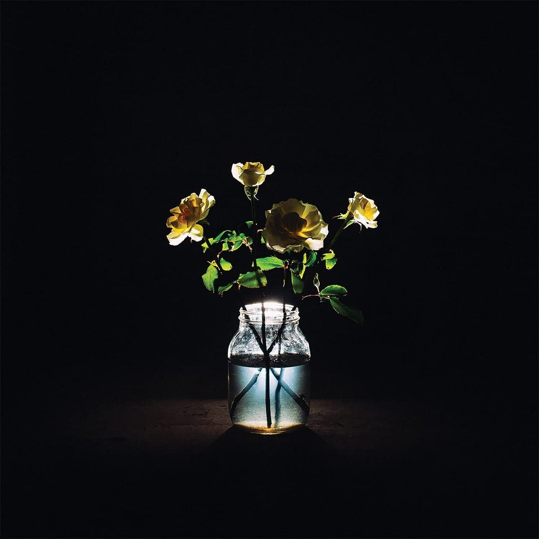 Renewal (2LP) [Vinyl LP], Vinyl