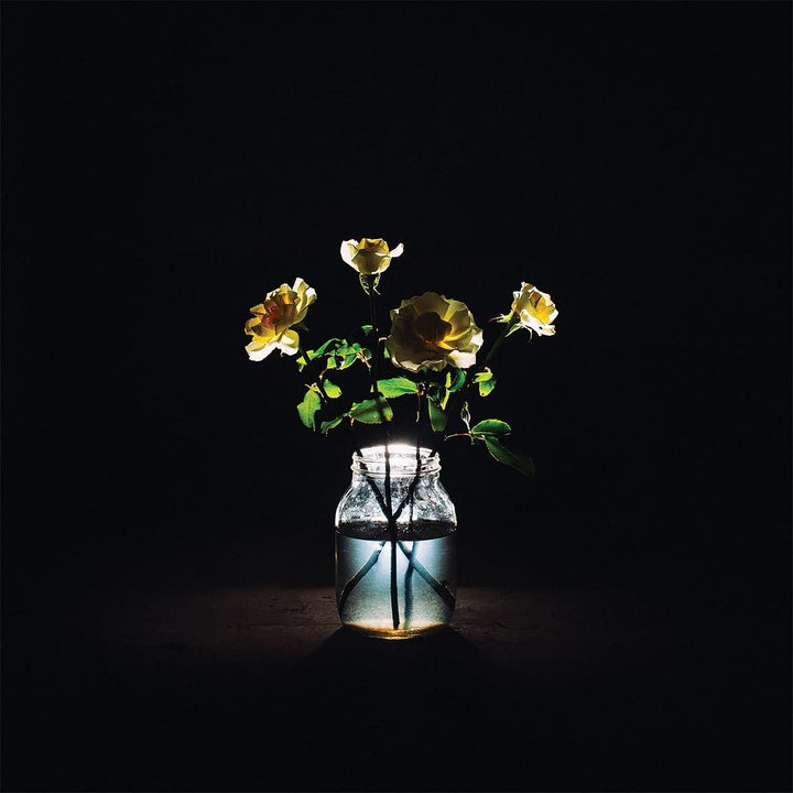 Renewal (2LP) [Vinyl LP], Vinyl