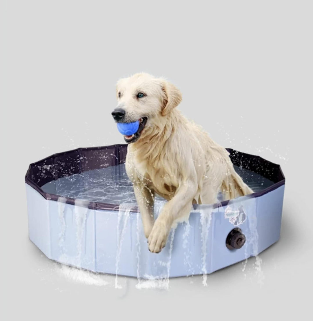 CoolPets Splash Dog Pool - Kühlungspool für Hunde - Hundepool - Hundebad - Spielerische Abkühlung -