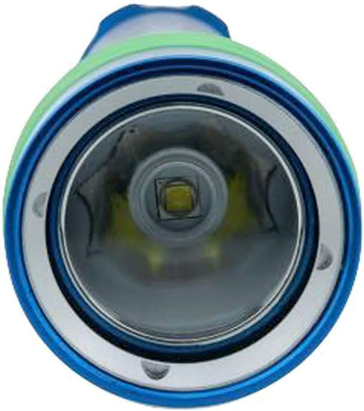 Riff TL Maxi Tauchlampe mit 1200 Lumen Leuchtkraft, Farbe:blau