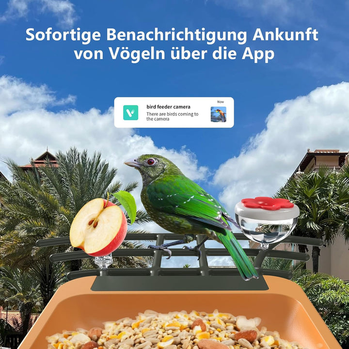 Vogelfutterhaus mit Kamera 2K HD Vollfarbe Nachtsicht KI Vogelerkennung Sofortiger Benachrichtigung