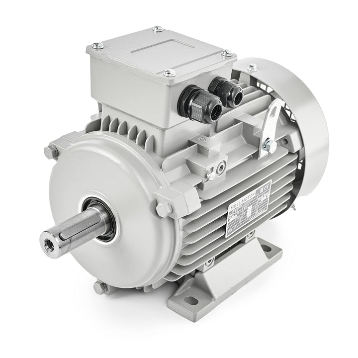 Elektromotor 0,75kW 1390rpm 3-phas. 230/400V Drehstrommotor MOLL-MOTOR Energiesparmotor S1 B3 Wellen