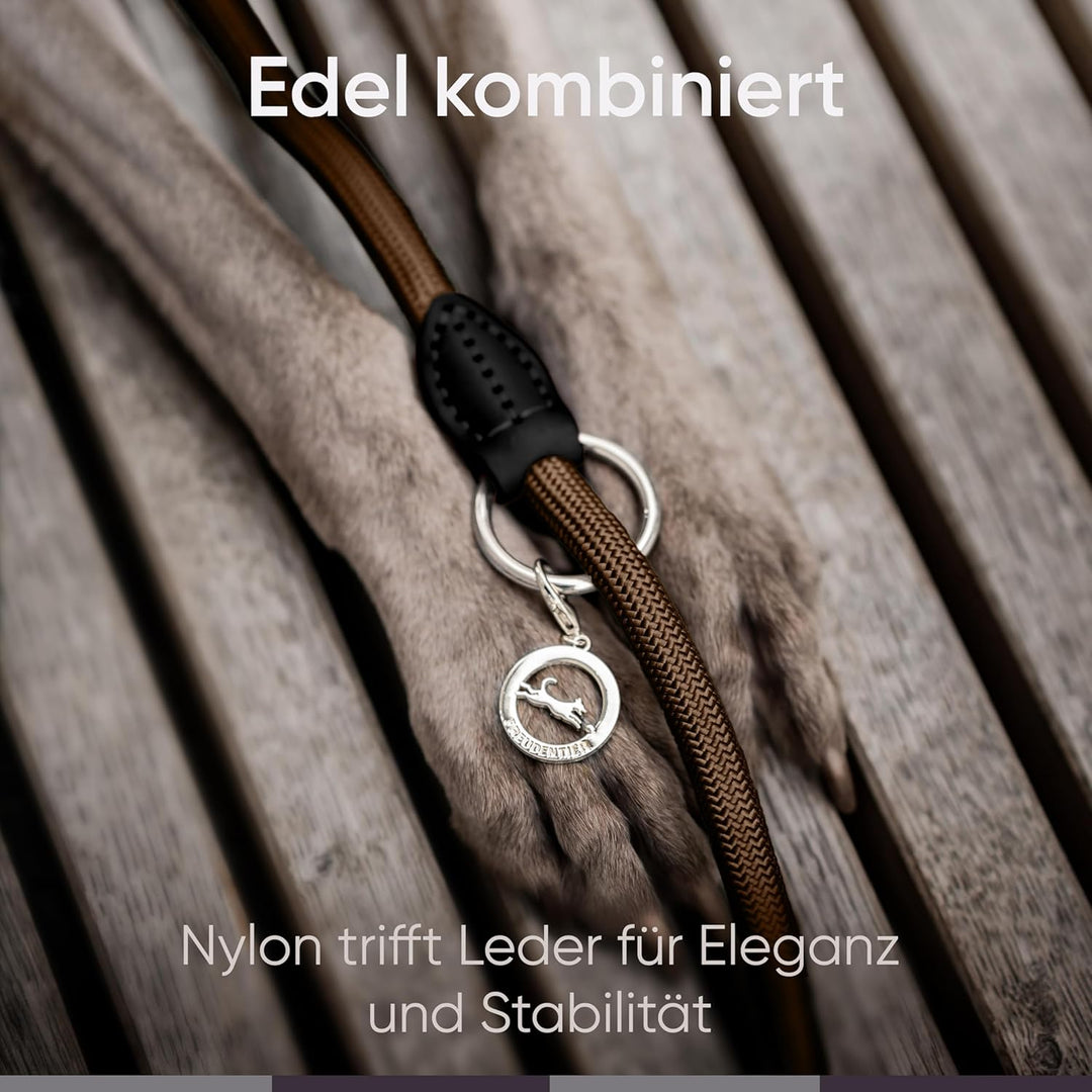 FREUDENTIER Hundeleine 2m - Führleine 3-Fach verstellbar - Robustes Nylon abgerundet mit stilvollen