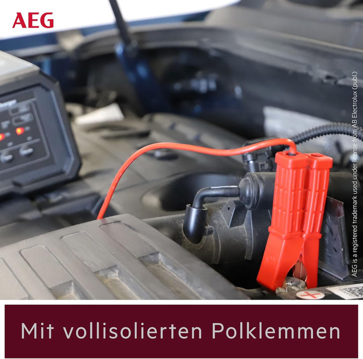 AEG Batterieladegerät CW20 lädt alle 6 V und 12 V Batterien, umfangreicher Sicherungsschutz, mit Lad