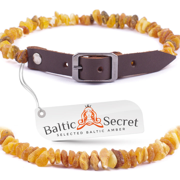 Baltic Secret Bernsteinkette Hund, Zeckenschutz Hunde, Bernsteinhalsband Hunde, Flöhe Hund, Zeckensc