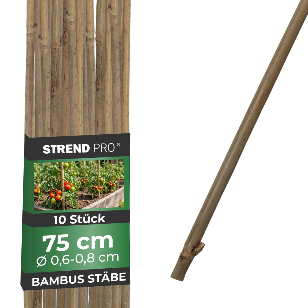 STREND PRO Bambusstäbe 75 cm - 10er Set | Ø 6-8 mm Natürliche Holzstäbe | Pflanzstäbe & Rankhilfe |
