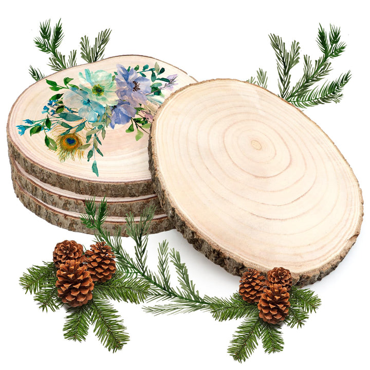 Holzscheiben 4 Stück, 18–20 cm und eine dicke von 15 mm Baumscheibe Holzplatte Rund für Tafelaufsätz