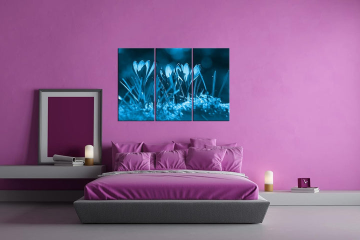 beeindruckende Krokusse im Frühling Effekt: Zeichnung Format: 3-teilig 120x80, Motiv fertig gerahmt