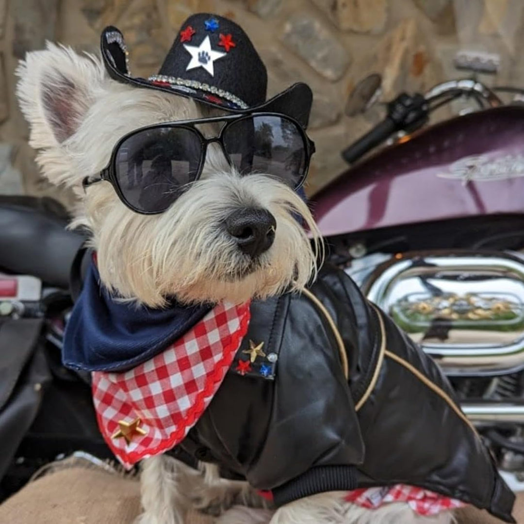 NIULA Hunde-Lederjacke – niedliche Lederjacken, Motorradkleidung mit Knöpfen, wasserdichter Winterma