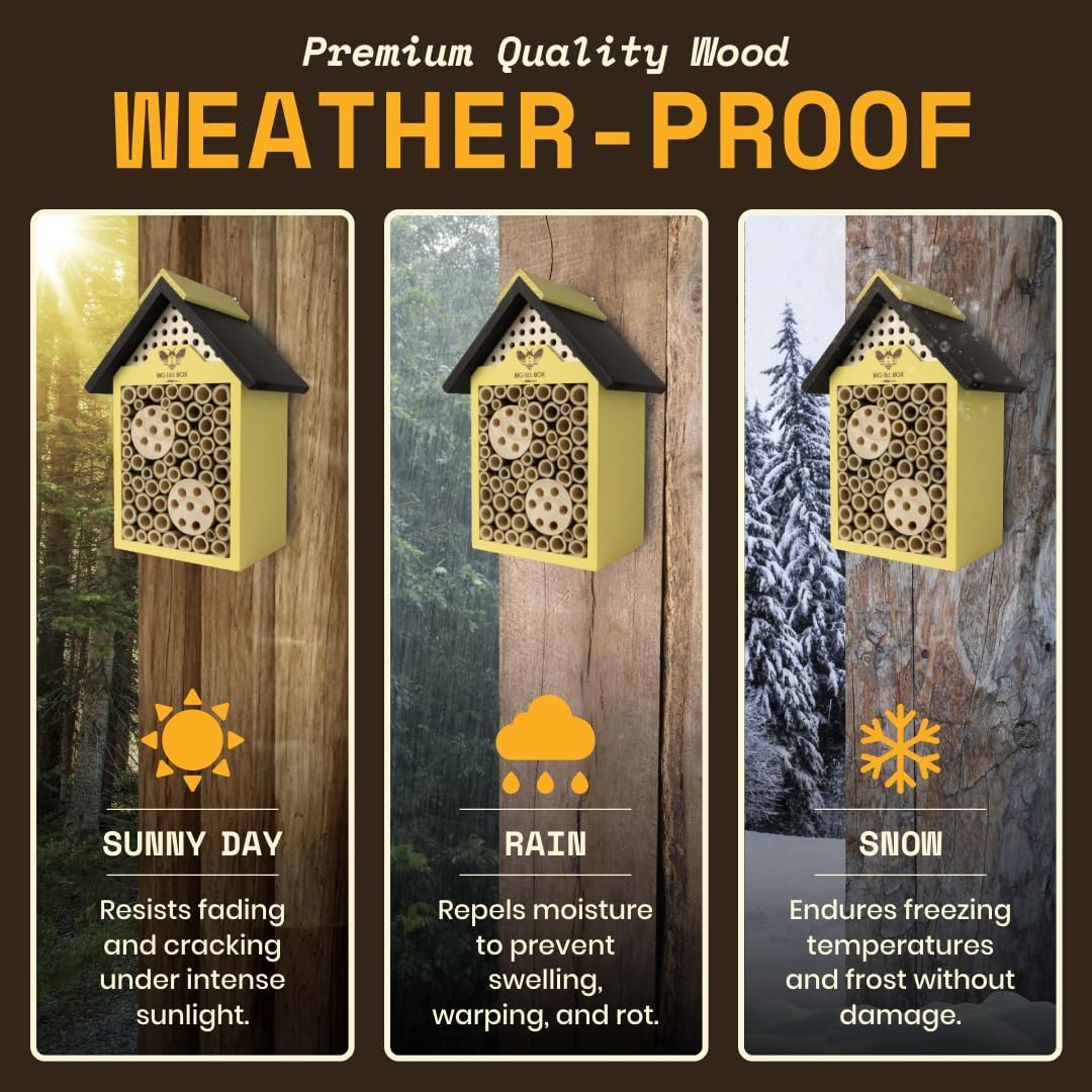 WildYard Big Bee Box - Bienenhaus aus Holz für Draussen, Gelb - Lockt Mauerbienen am Balkon - Kompak