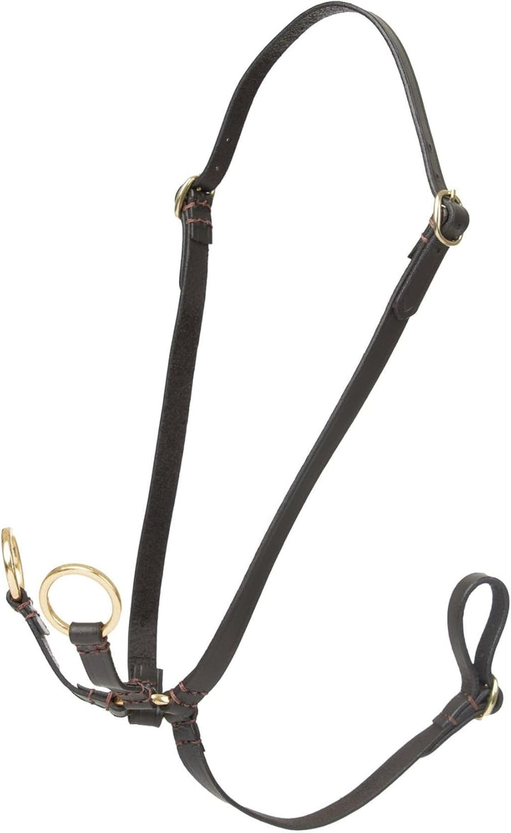 LeMieux Hobby Pferd Spielzeug Laufen Martingale Braun, Braun