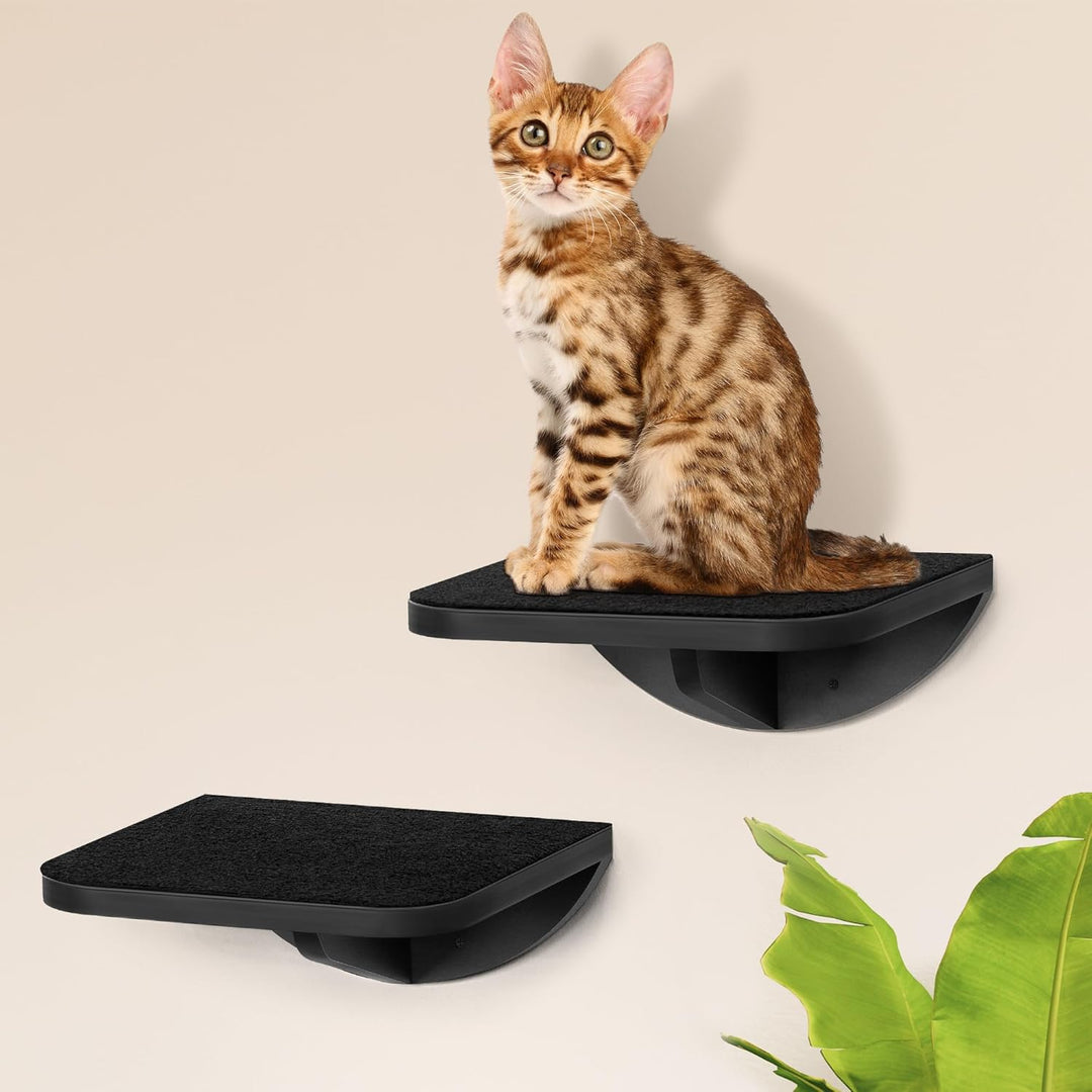 Katzen Kletterwand, Katzenleiter 2er-Set mit Kratzmatte, Wandmontiertes Kiefernholz Katzentreppe Wan