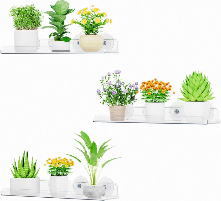 Lifewit Fenster Pflanzenregale, 3 Stück, 38cm, Transparent Regal Saugnapf, Fensterwand Pflanzenständ