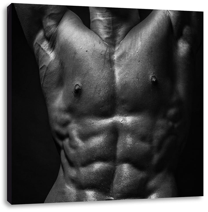 Pixxprint Sixpack Body, Format: 70x70 auf Leinwand, XXL riesige Bilder fertig gerahmt mit Keilrahmen