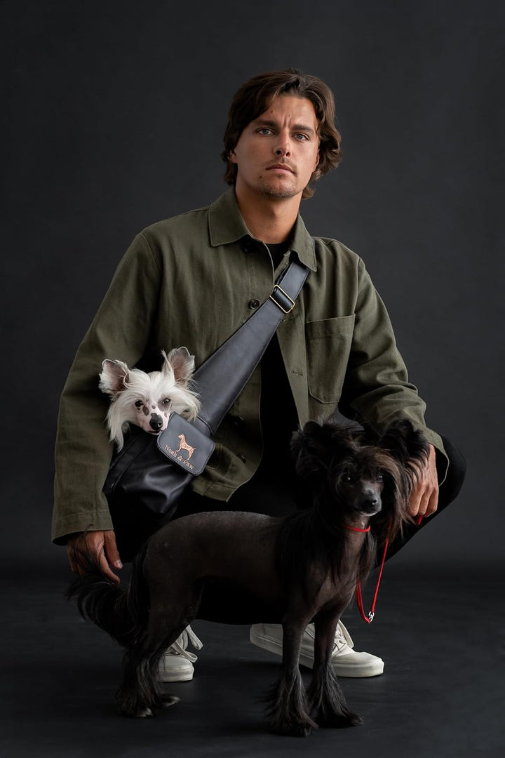 Noah &amp; Paw Hundetragetasche für Kleine Hunde bis 10kg, Hundetasche mit Verstellbarem Schultergurt, u