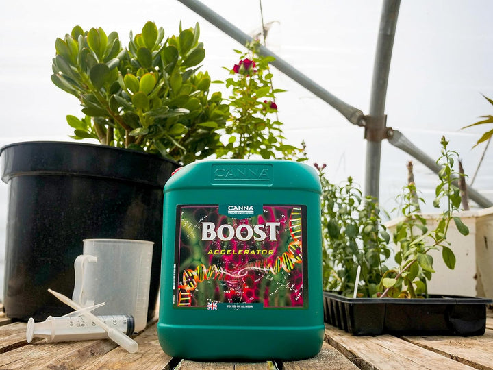 Canna Boost Accelerator 5 L, 5 L