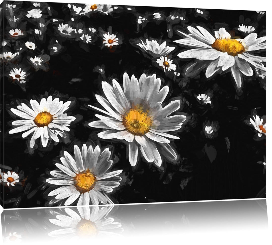 Dark viele kleine Margariten schwarz/weiss Deluxe Format: 120x80 cm auf Leinwand, XXL riesige Bilder