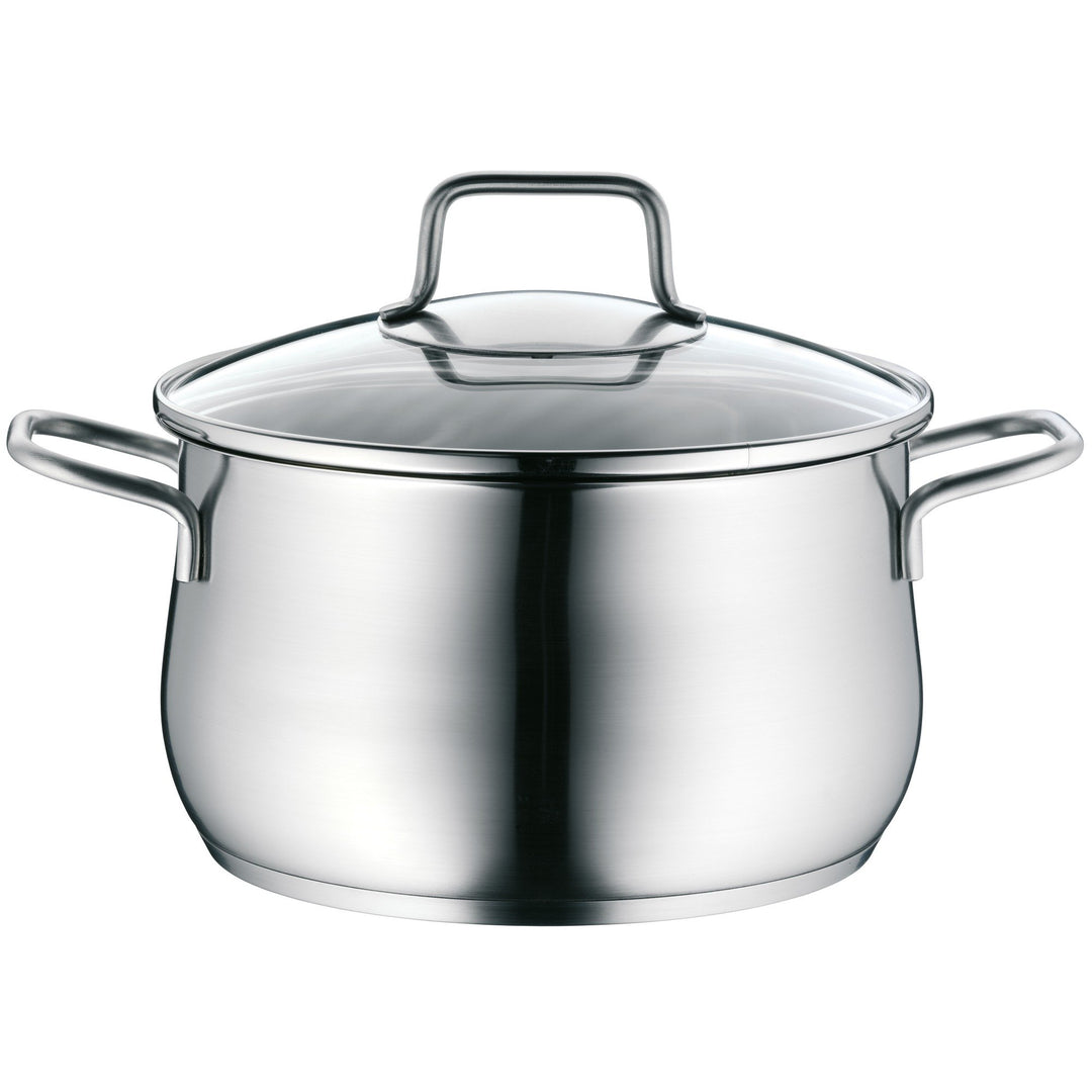 WMF Brilliant Kochtopf gross 20cm, Glasdeckel, Fleischtopf Induktion 3,7l, Cromargan Edelstahl satin