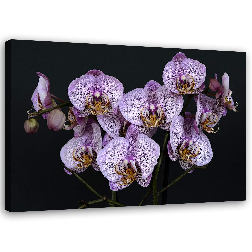Leinwandbild XXL Orchideen Wandbild Kunst für Schlafzimmer Violett 120x80 cm Leinwandbild 120x80 cm