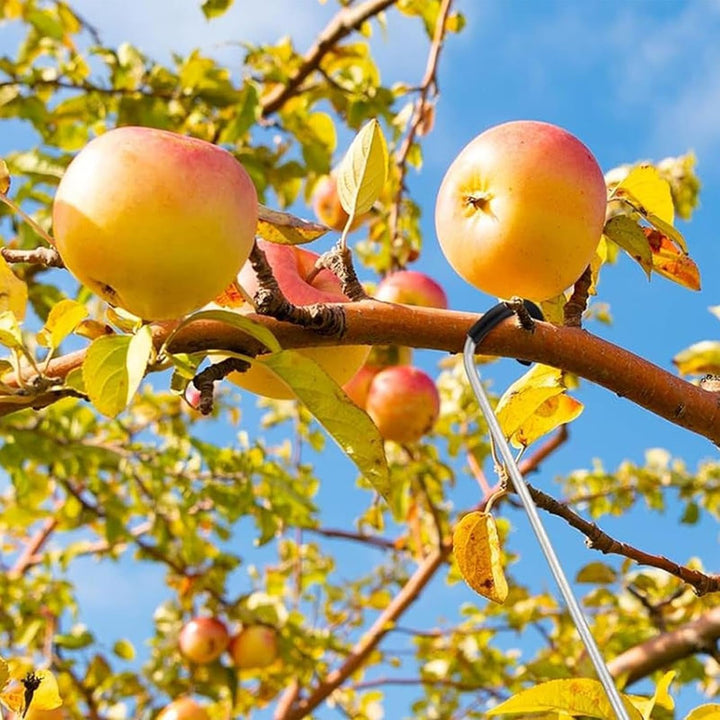 Astspreizer für Obstbäume | Metall-Stützspanner, wetterbeständig,Obstbaum Aststütze Und Astbieger -