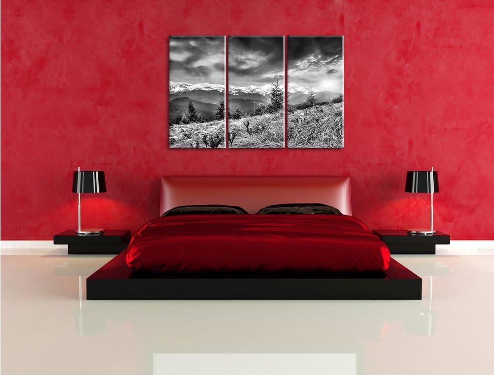 Pixxprint Monocrome, Krokusse auf Hochalmwiese in Alpen 3-Teiler Leinwandbild 120x80 Bild auf Leinwa