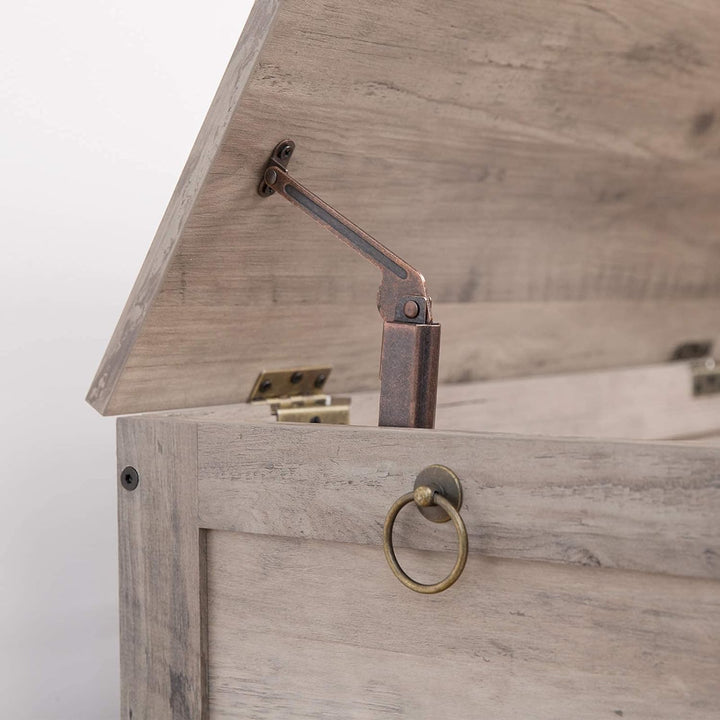 HOOBRO Truhen, Sitzbank mit Stauraum, Spielzeugtruhe mit Deckel, Schuhbank, Sitztruhe, Aufbewahrungs