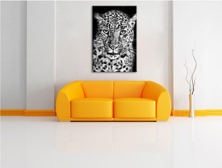 Pixxprint Stolzer Leopard / 100x70cm Leinwandbild bespannt auf Holzrahmen/Wandbild Kunstdruck Dekora