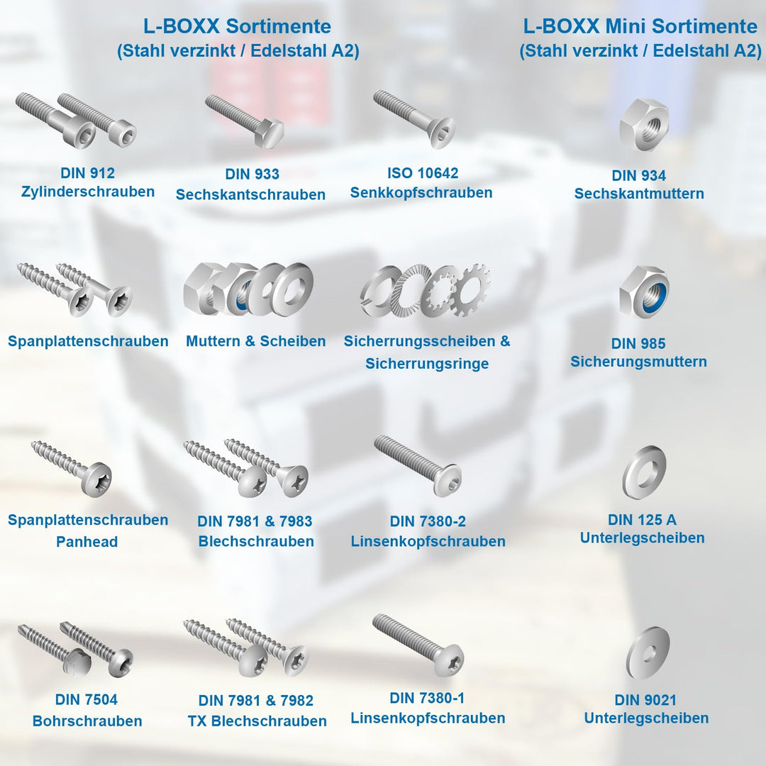 FRANTOS L-BOXX Sortimentskoffer (mit Deckeldichtung und Insetboxenset) für Schrauben, Muttern und Sc
