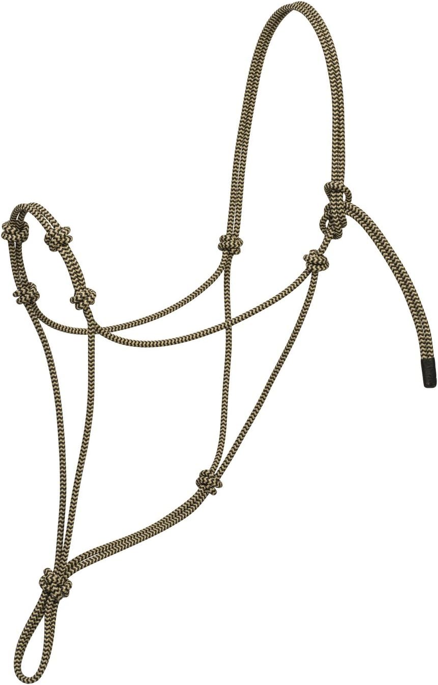 Weaver Lederhalfter mit 4 Knoten, silberfarben Schwarz/Braun S, Schwarz/Braun S