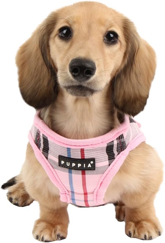 Puppia Junior - Kariertes Hundegeschirr für kleine Hunde - weiche Weste - Auch als Welpengeschirr ve