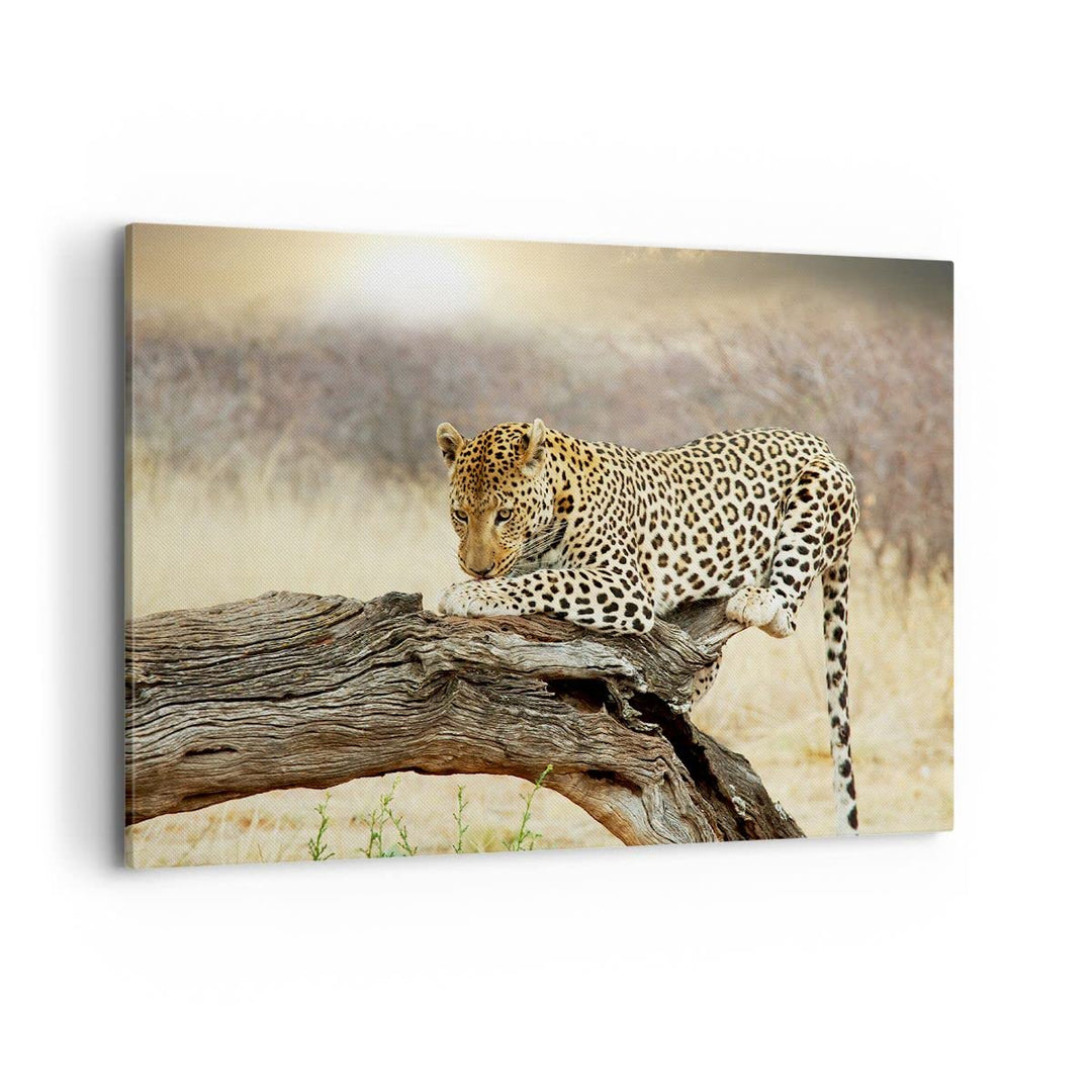 Bilder auf Leinwand 100x70cm Leinwandbild Afrika Leopard Katze Safari Gross Wanddeko Bild Schlafzimm