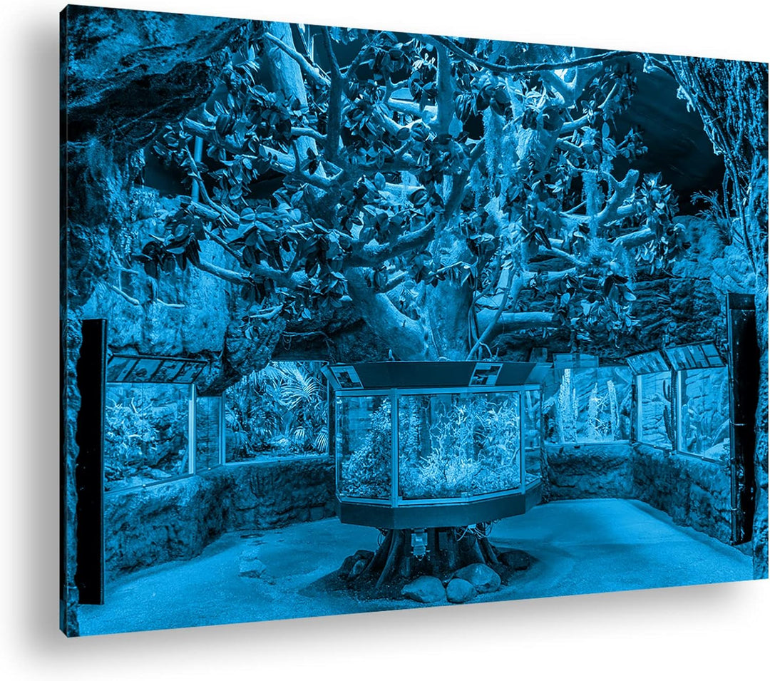 deyoli bezauberndes Aquarium mit Fischen Format 80x60 Effekt: Monocrome Blau als Leinwandbild, Motiv