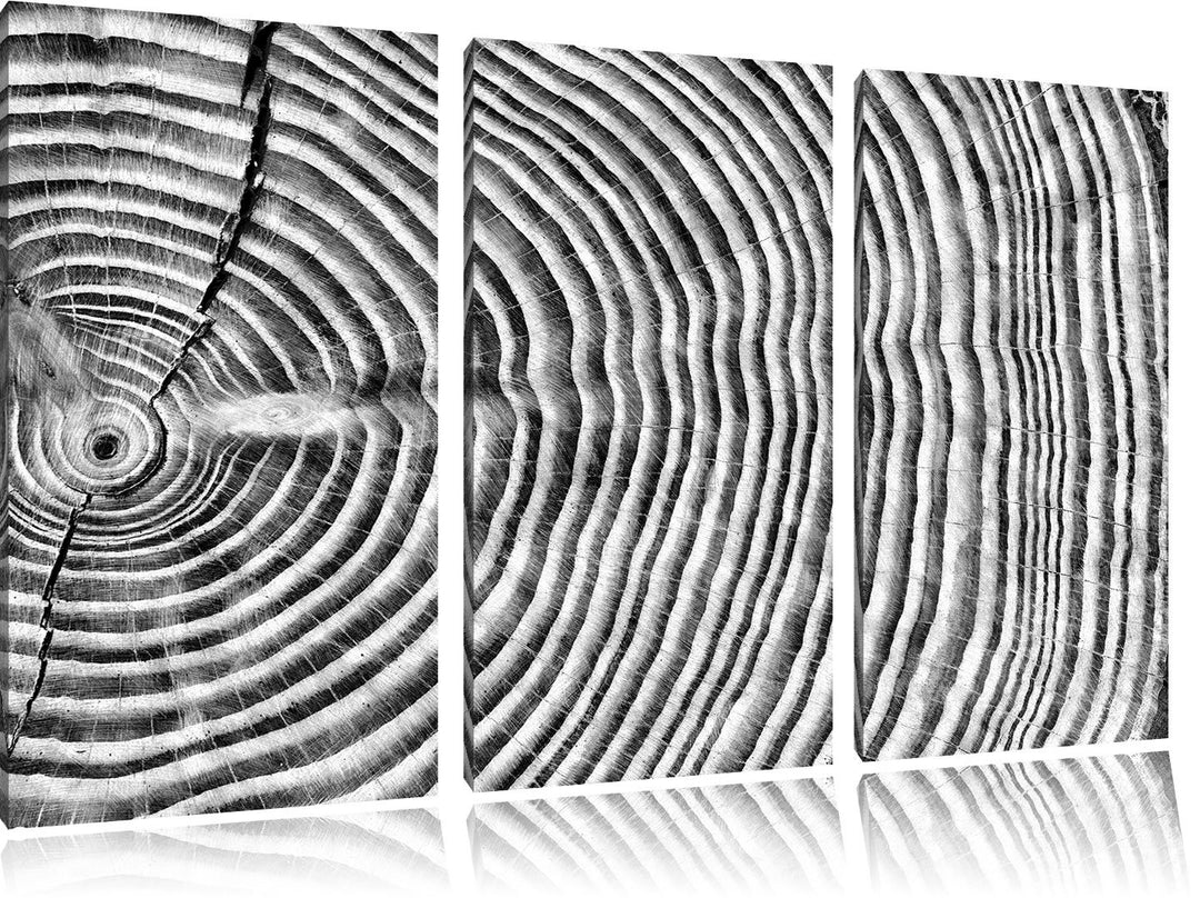 Pixxprint Baumstamm Jahresringen / 3-Teilig/Gesamtmass 120cm Leinwandbild bespannt auf Holzrahmen/Wa