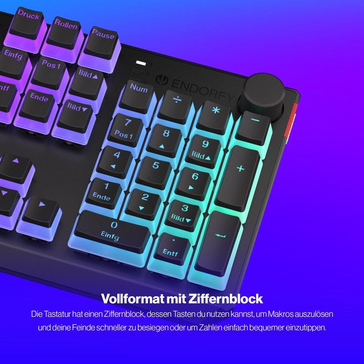 ENDORFY Thock DE Kailh Red Pudding, Programmierbare ARGB-Beleuchtung, mechanische Switches Kailh Red