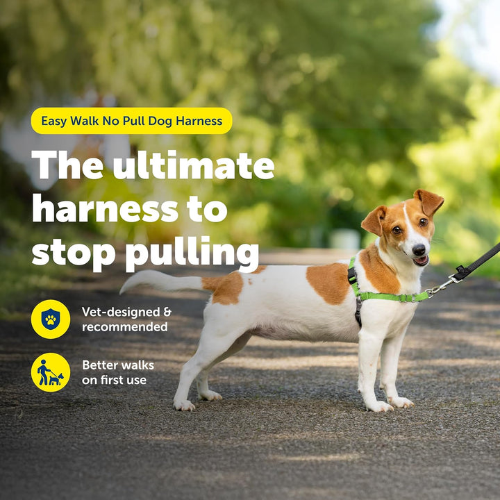 PetSafe Easy Walk Hundegeschirr Apfelgrün/Grau Small, Apfelgrün/Grau Small