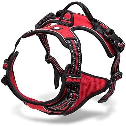 WINHYEPET Truelove Hundegeschirr No-Pull Reflektierendes verstellbar Haustiergeschirr mit 2 Leinencl